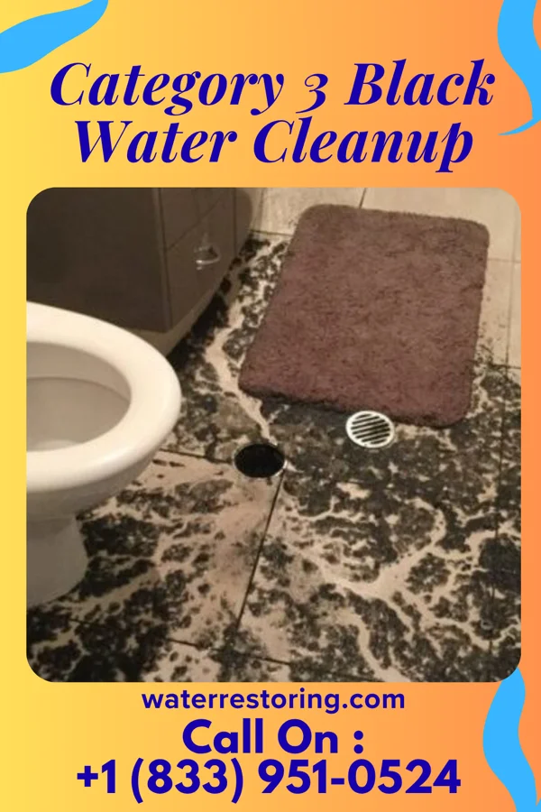 Category 3 Black Water Cleanup in Hawkinsville, GA