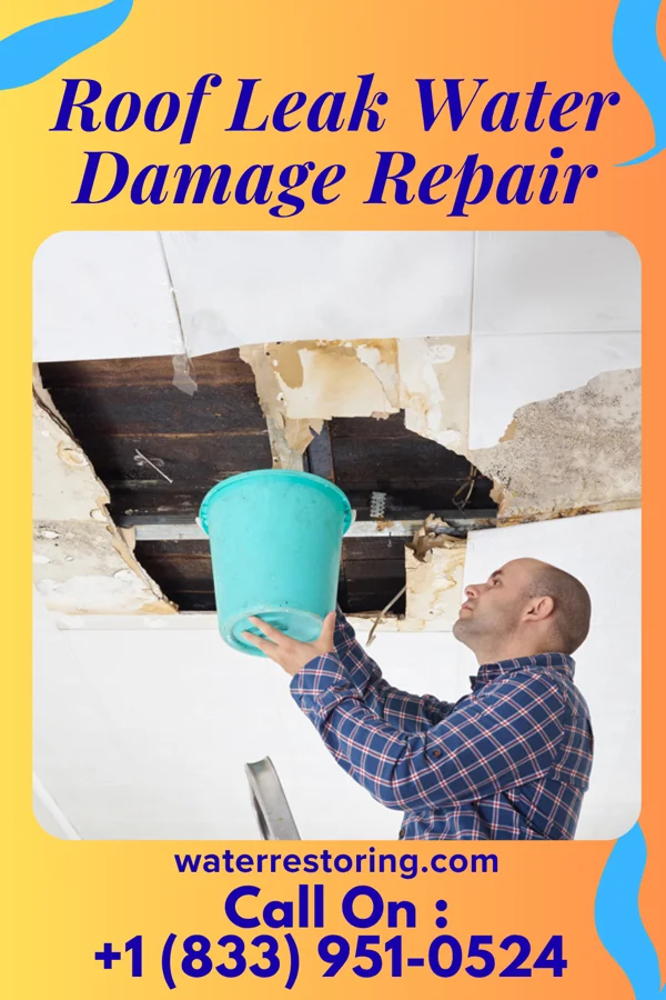 Roof Leak Water Damage Repair in Hawkinsville, GA